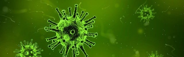 Protocolo COVID-19 en Torres Bus – Coronavirus ¿Que debemos hacer?